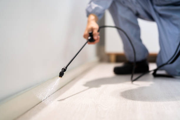 Licensed Pest Control service in Tuscola, IL - Show Me Pest Control